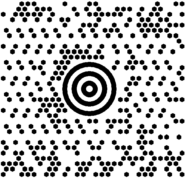 UPS MaxiCode 2D Barcode