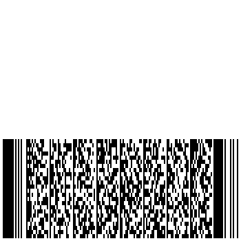 PDF417 2D Barcode