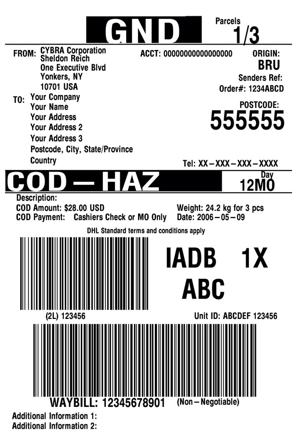 DHL Shipping Label