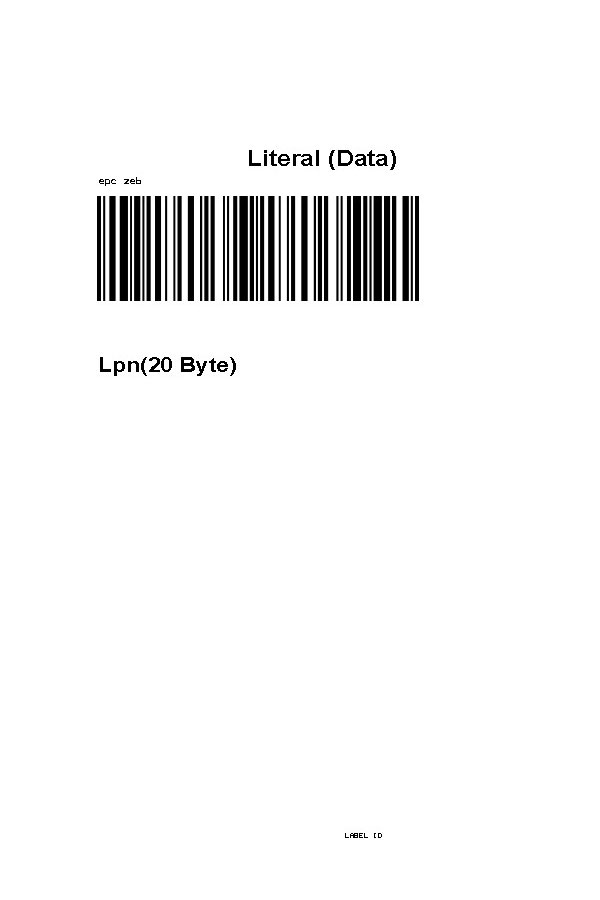 Blind Case/Carton/Pallet Label Template