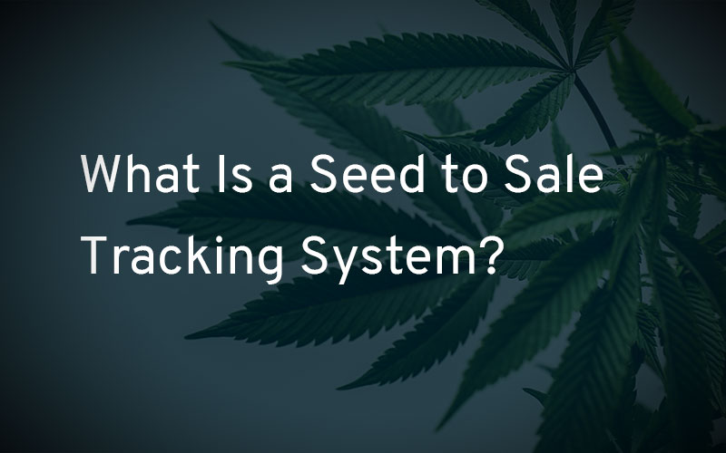 What Is a Seed to Sale Tracking System?
